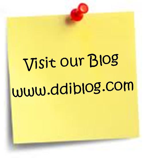 ddiblog.com